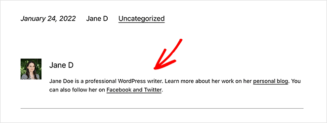WordPress-author-box-senza-plugin - SeedProd WordPress author box without plugin