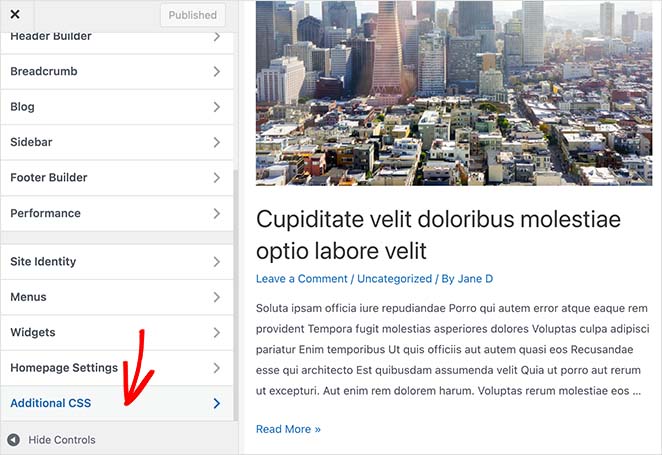 WordPress-customizer-add-css - SeedProd WordPress theme customizer additional css