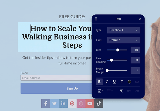 leadpages-headline-widget - SeedProd LeadPages headline widget