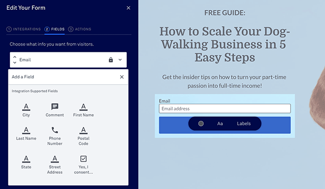 personalizza-campi-modulo-leadpages-recensione - SeedProd customize form fields LeadPages review