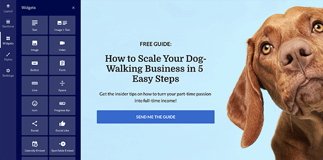 leadpages-drag-and-drop-builder - SeedProd LeadPages review drag and drop builder