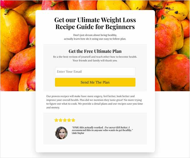 lead-capture-page-WordPress - SeedProd lead generation landing page