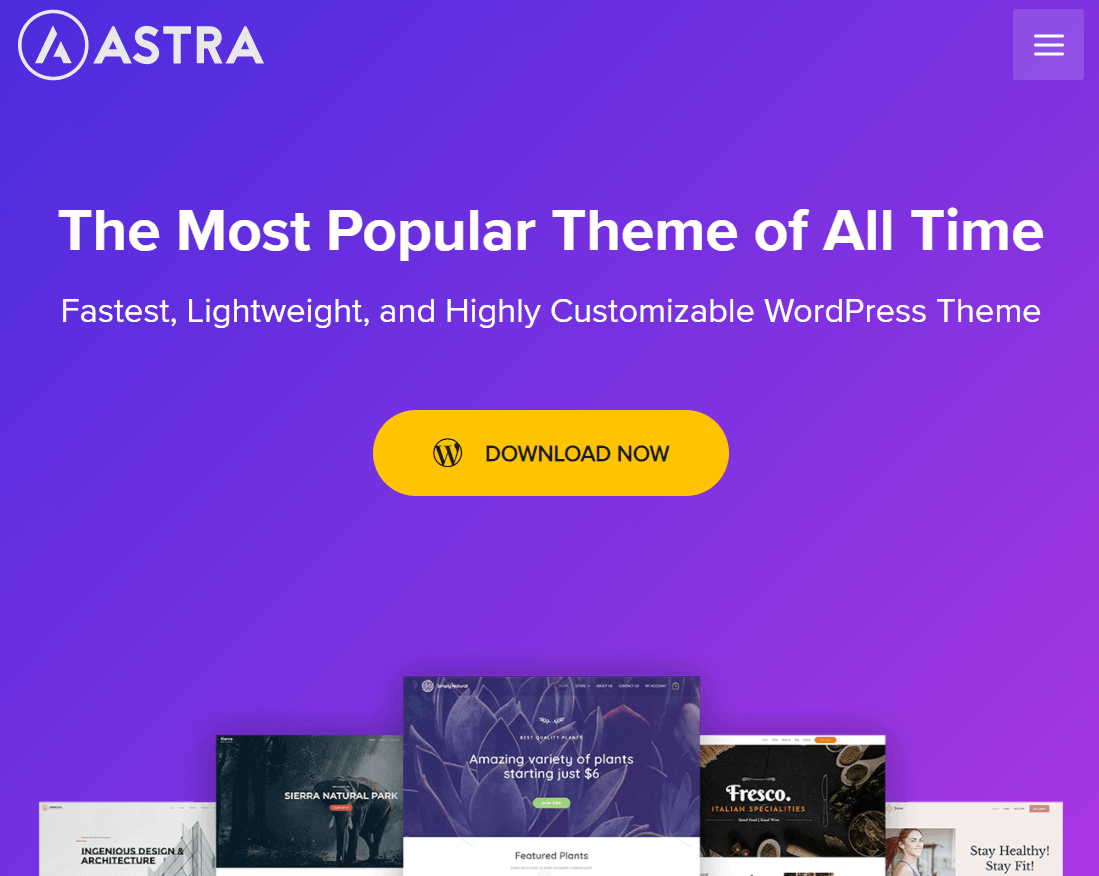 Los 10 mejores temas de WordPress para sitios web personales (temas gratuitos) 3 Astra WordPress Theme