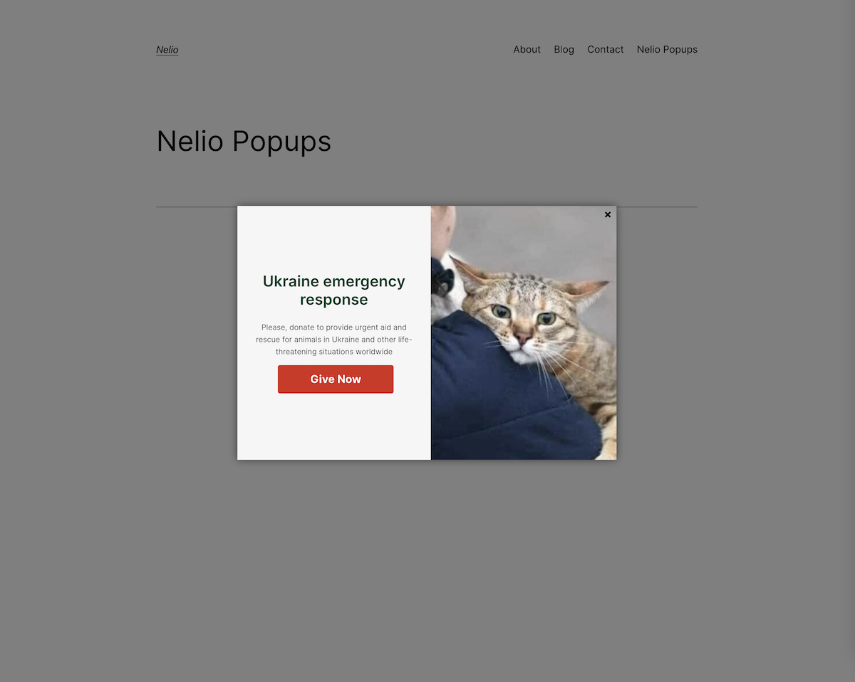 Visualisasi popup yang dibuat dengan Nelio Popup