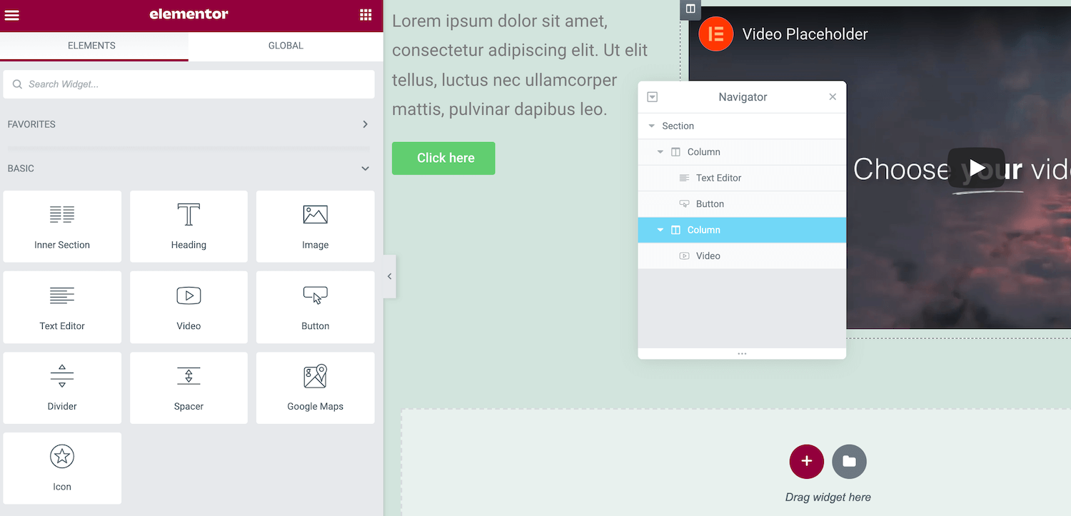 Opțiuni de afișare pentru widget-ul selectat