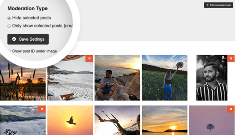 flux moderat de hashtag - IsItWP - Detector gratuit de teme WordPress moderate hashtag feed