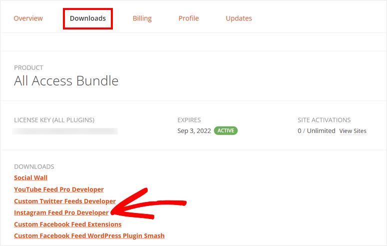 descarcă pluginul de feed pentru instagram - IsItWP - Detector de teme WordPress gratuit download instagram feed plugin