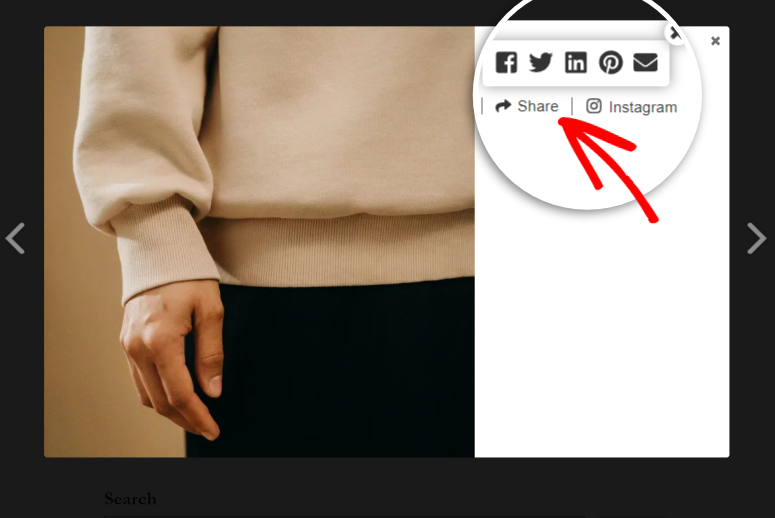 cum să adăugați butonul de partajare a instagramului în wordpress - IsItWP - Detector gratuit de teme WordPress how to add instagram share button in wordpress