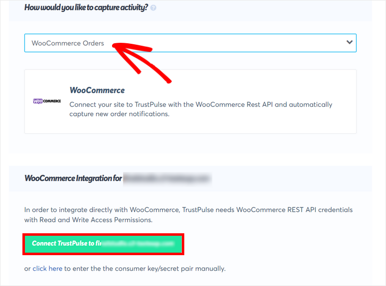 woocommerce order connect - IsItWP - Detektor Tema WordPress Gratis woocommerce order connect