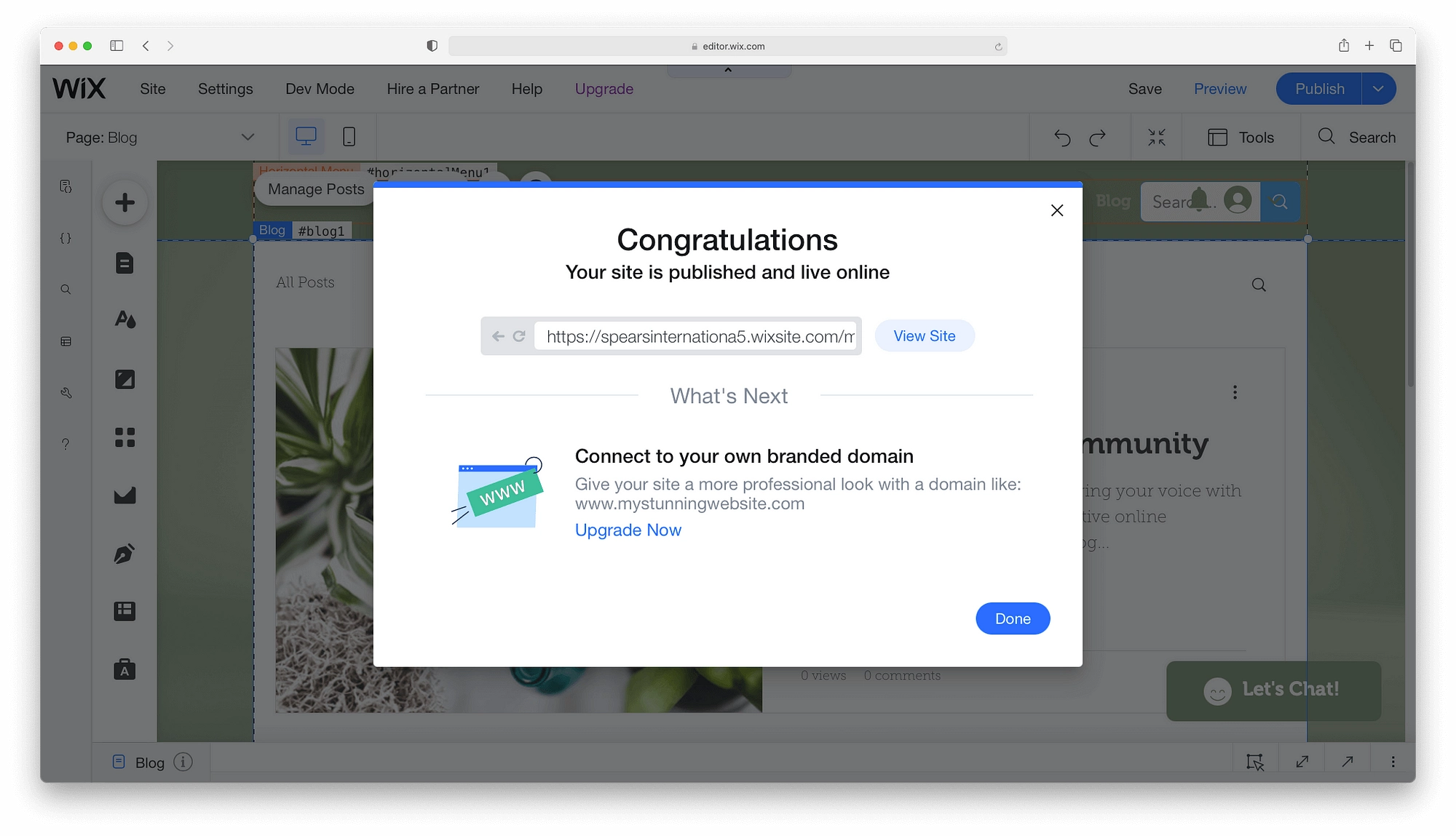 Una vez que presionas publicar, has creado oficialmente un sitio web con Wix