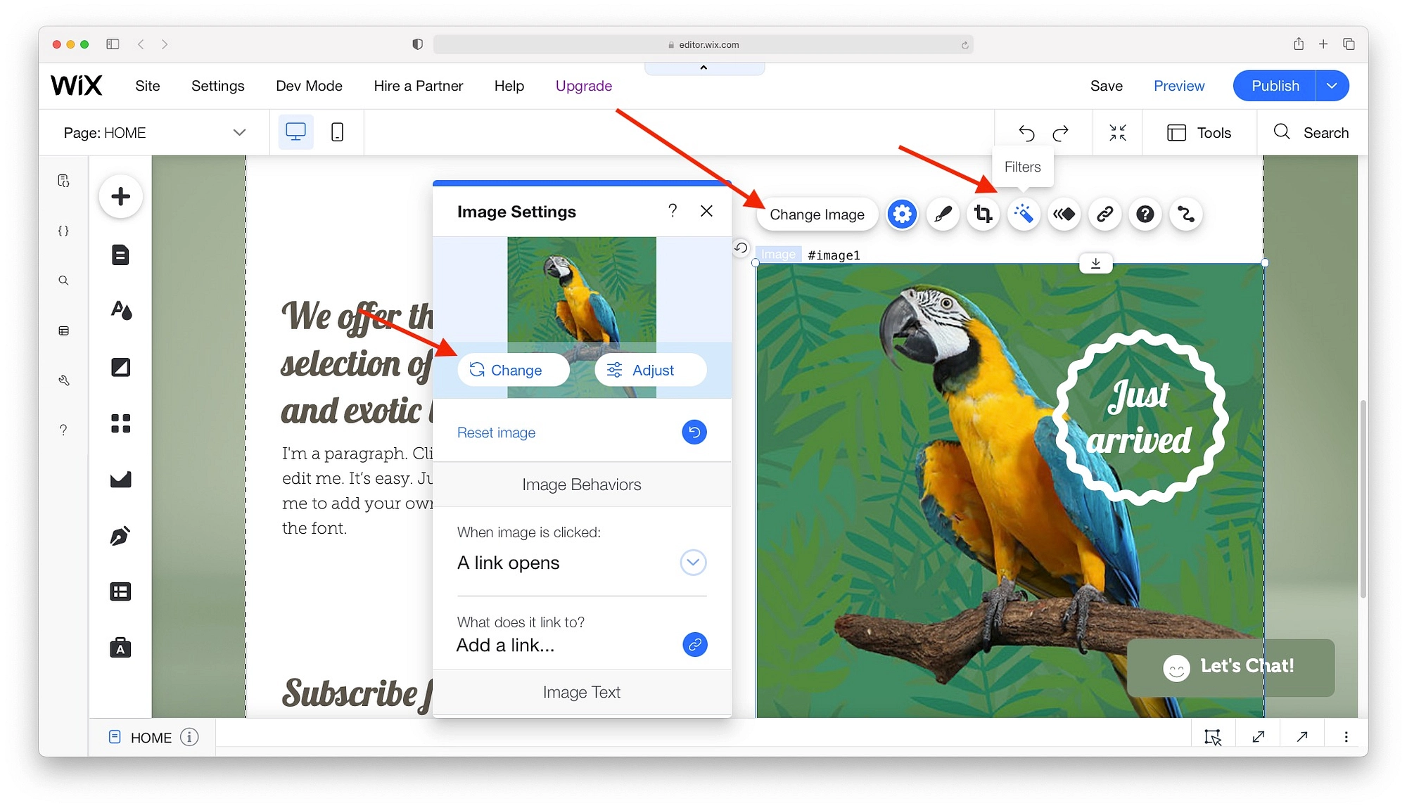 Las opciones de elementos de diseño de Wix