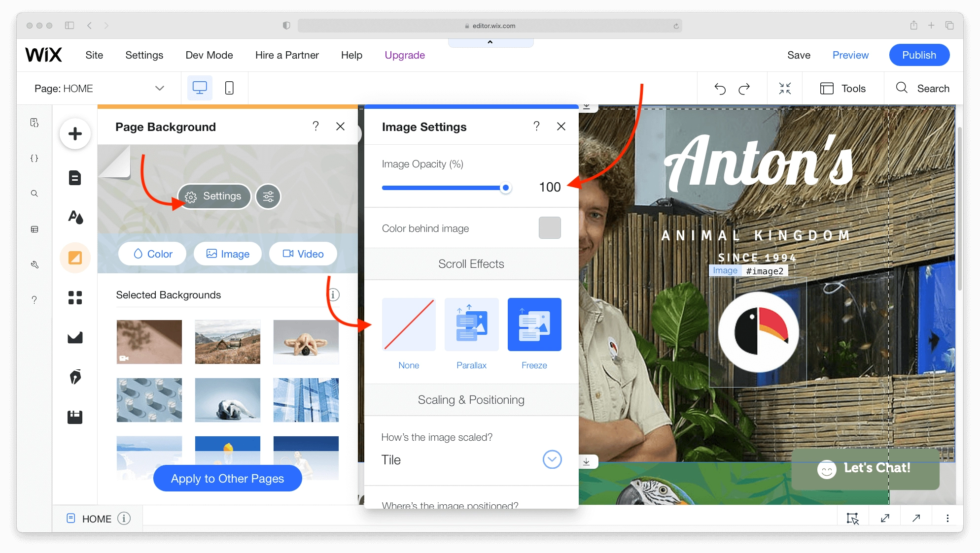 Opciones de fondo dinámico para sitios web de Wix.