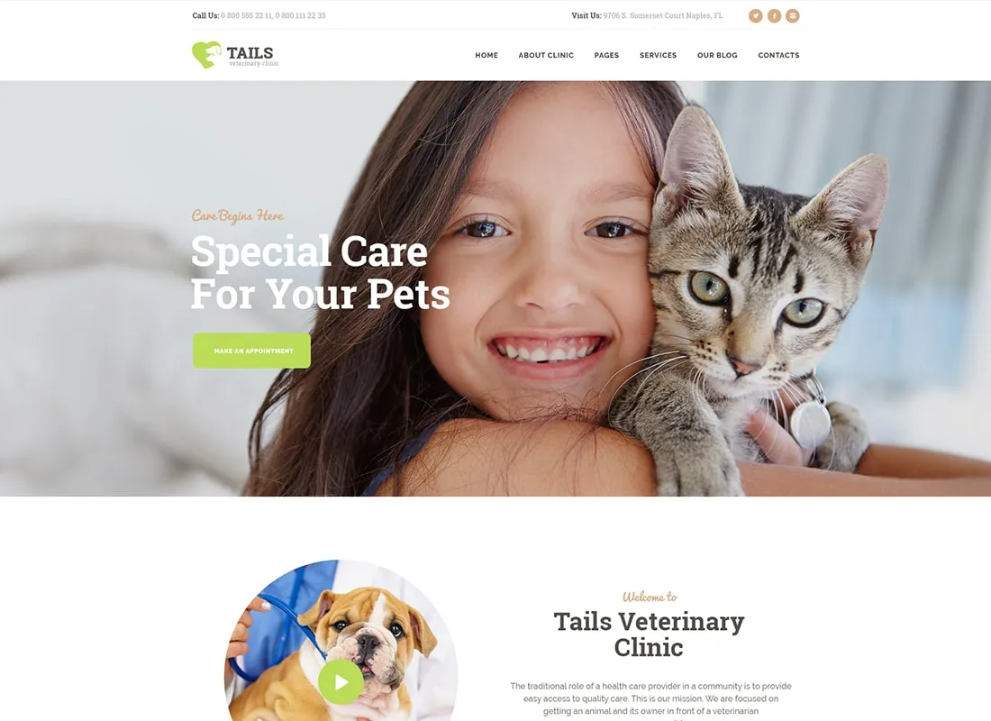 Colas | Tema de WordPress para clínica veterinaria, cuidado de mascotas y tienda