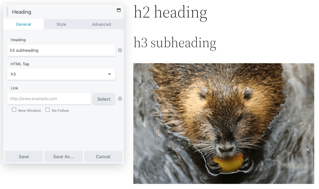 عناوين علامات HTML في Beaver Builder