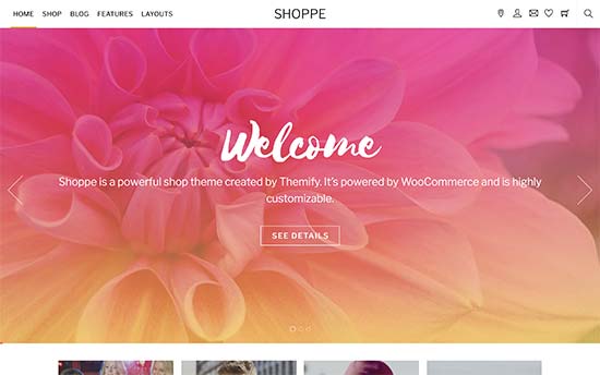 最佳电子商务 WordPress 主题
