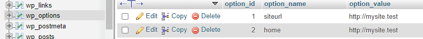 Tabela wp_options w bazie danych