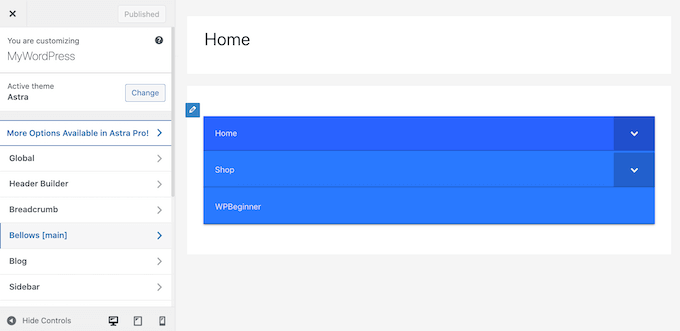 Configurarea meniurilor dvs. pliabile în Personalizatorul WordPress.