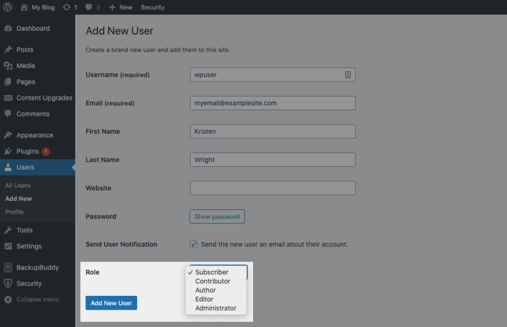 peran pengguna wordpress