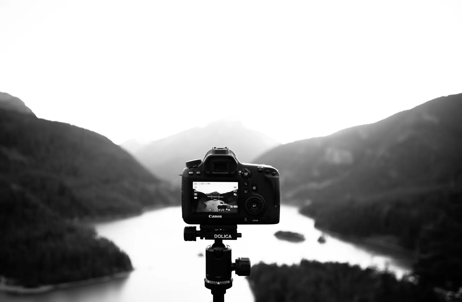 Stockfotografie