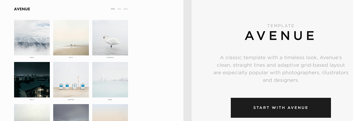 Szablon Squarespace Avenue.