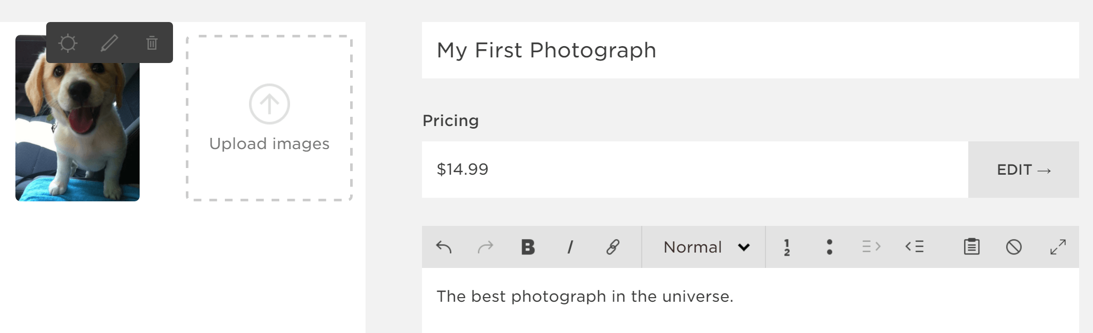 Die grundlegenden Optionen für ein Squarespace-Produkt.