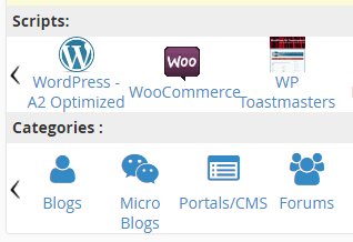 Die Option, WordPress über das cPanel zu installieren.