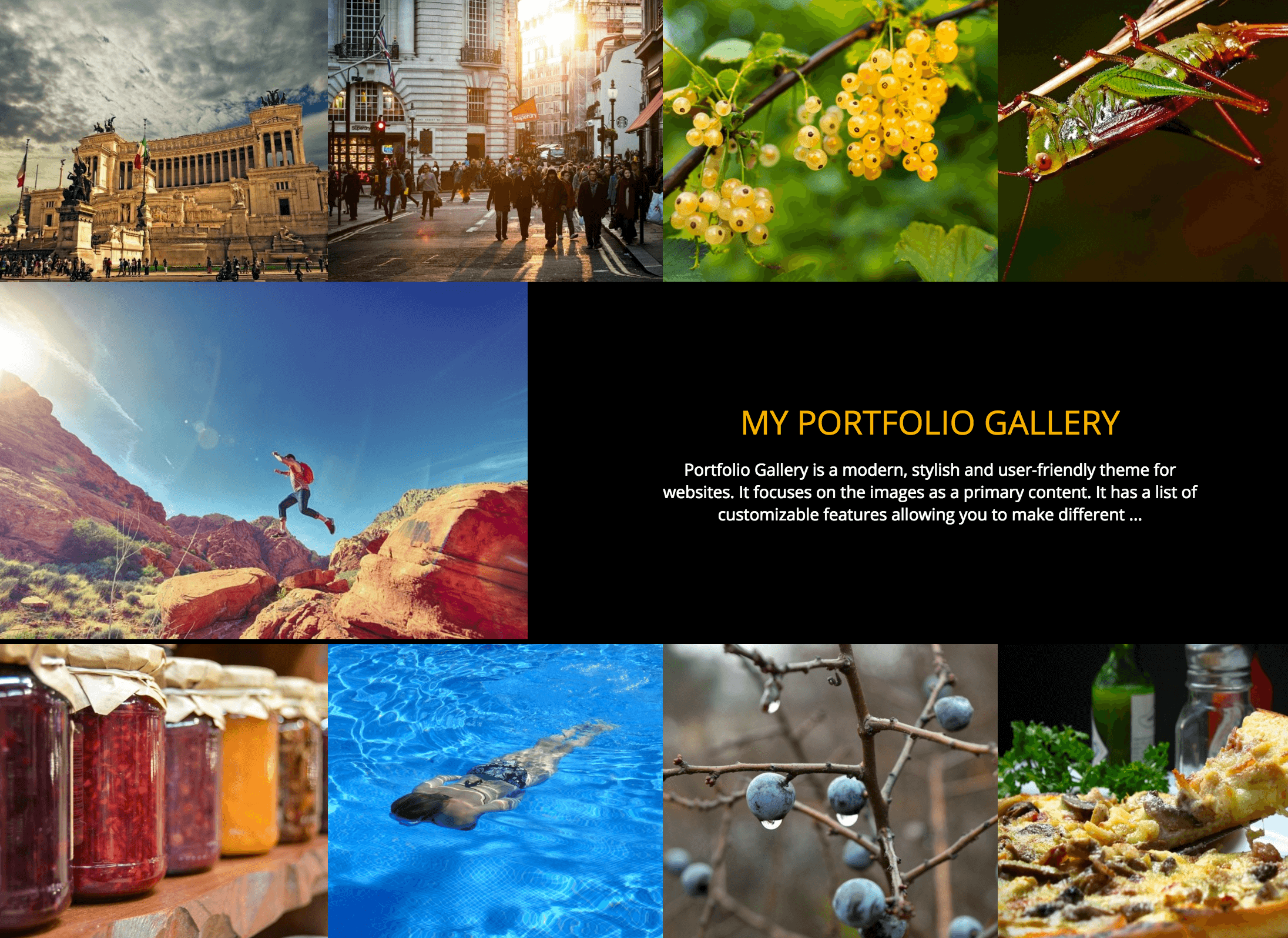 Le thème Galerie Portfolio.
