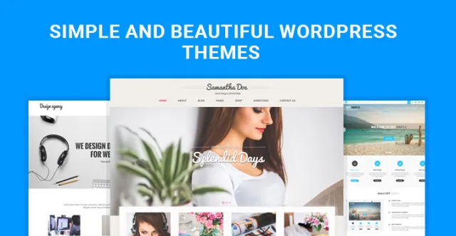 temi WordPress belli e semplici