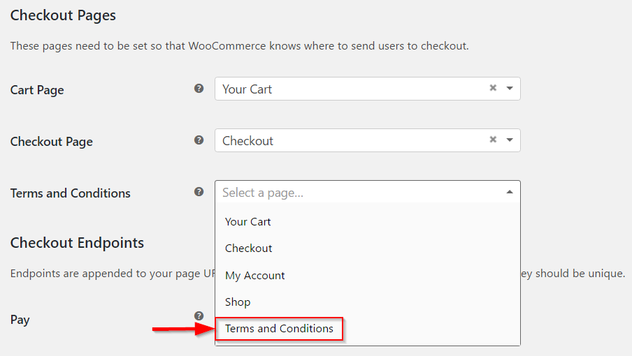 Como configurar as opções de checkout e pagamento do WooCommerce