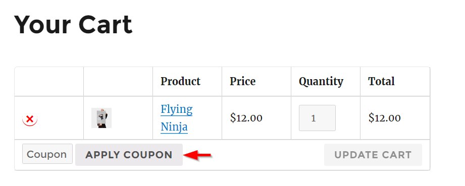 Como configurar as opções de checkout e pagamento do WooCommerce