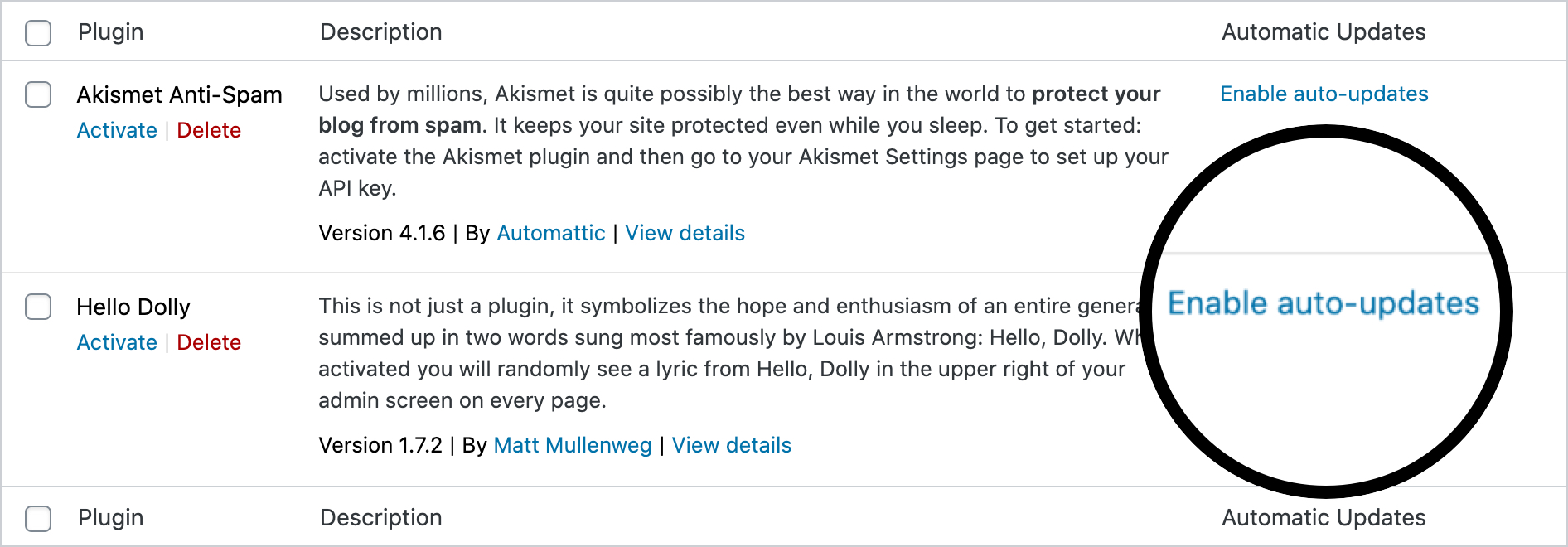 Activer les mises à jour automatiques pour les plugins WordPress