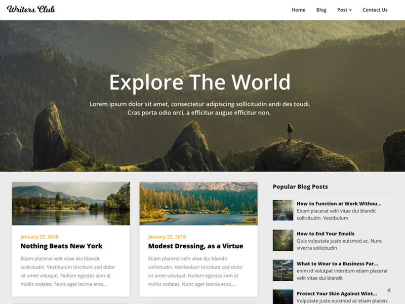 كتاب Blogily WordPress Theme