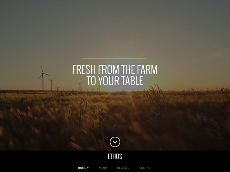 Tema WordPress TheX