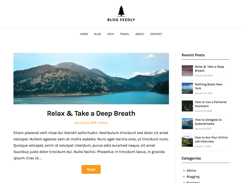 Tema WordPress Blog Feedly
