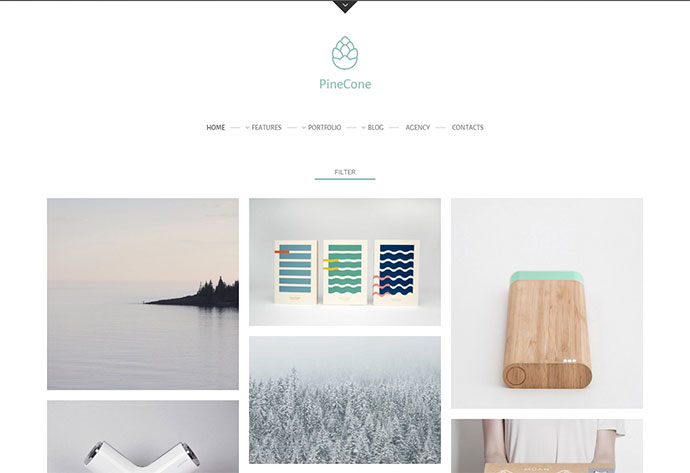PineCone - Kreatives Portfolio und Blog für Agenturen