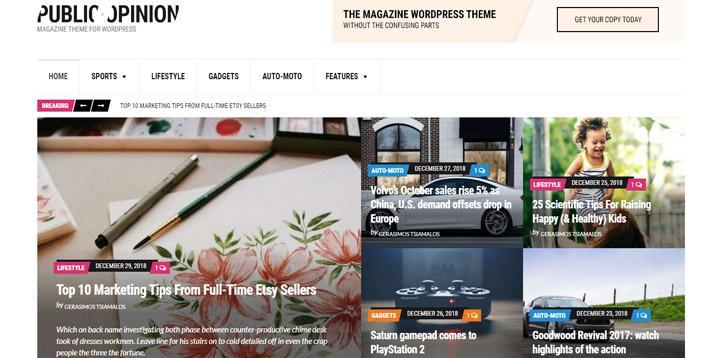 Thème WordPress d'opinion publique par cssigniter