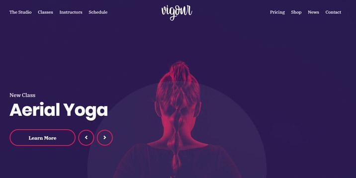 Thème WordPress Vigor par cssigniter