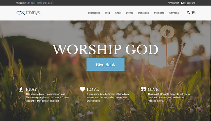 Ichthys - Kirche / Gemeinnütziges / Wohltätigkeits-WordPress-Theme
