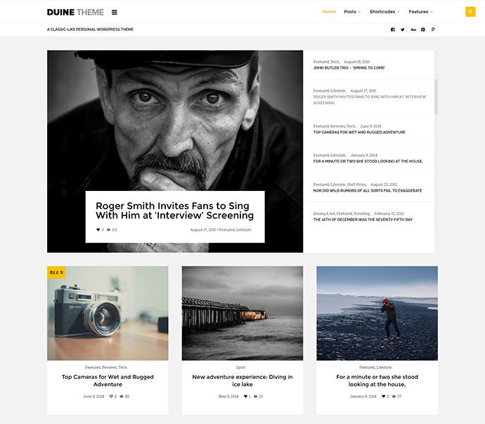 Duine – Ein ansprechendes WordPress-Blog-Theme