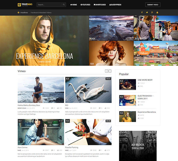 True Mag – WordPress-Theme für Video und Magazin