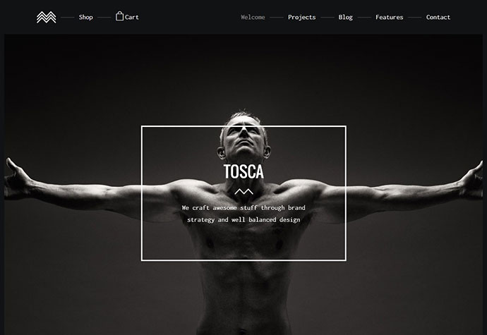 Tosca - Ein frisches kreatives Portfolio & E-Commerce-WordPress-Theme