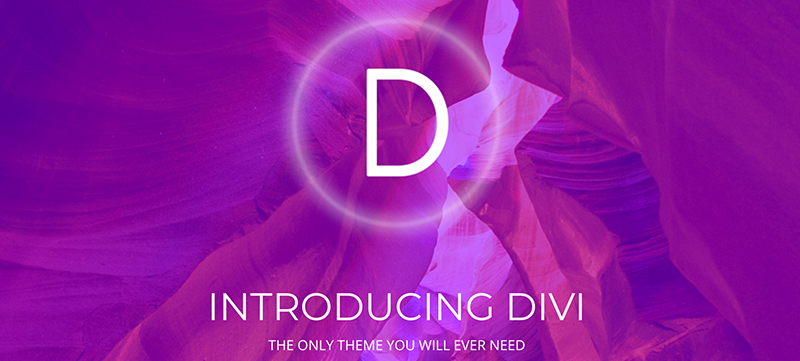 Diviテーマとプラグイン
