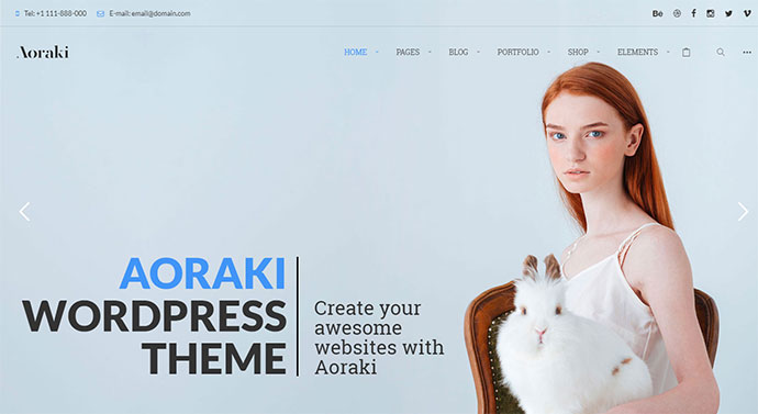 Aoraki - Multi-Concept-Business-WordPress-Theme