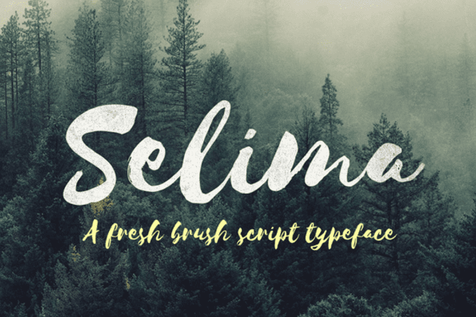 Selima – แบบอักษรทันสมัยฟรี