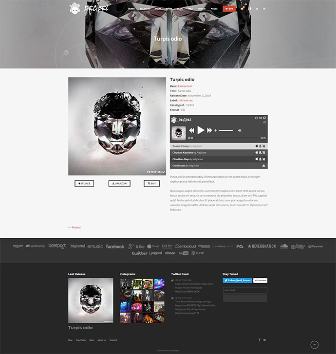 Dezibel - Professionelles Musik-WordPress-Theme