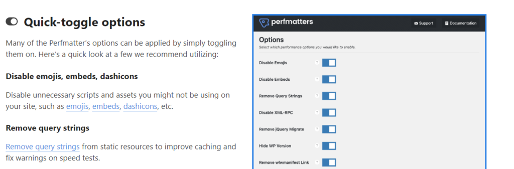 Interfaccia Perf Matters