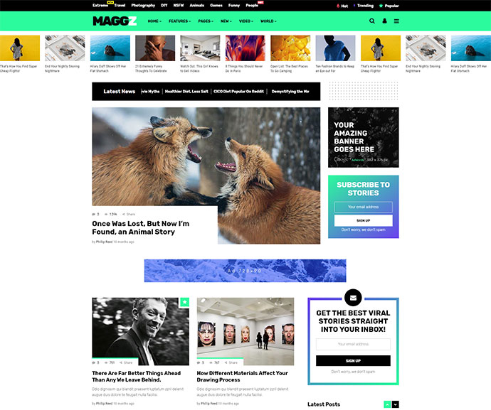 Maggz - Ein kreatives virales Magazin- und Blog-Thema