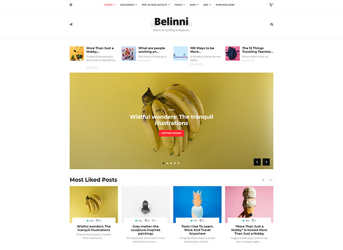 Belinni - Multi-Concept Blog / Magazin WordPress Theme