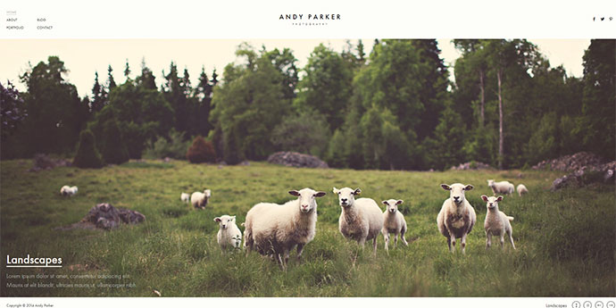 Andy Parker – WordPress-Thema für kreative Fotografie und Portfolio