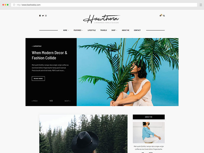 Hawthorn - Ein WordPress-Blog- und Shop-Thema